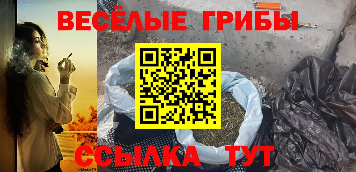 Галлюциногенные грибы Cubensis Кореновск